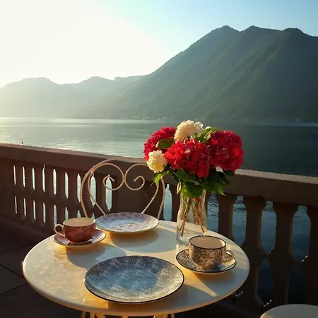 Ortensie & Oleandri Al - By Myhomeincomo